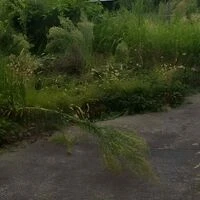ダウンロード_(1)のコピー2